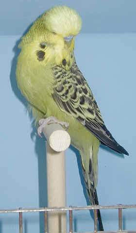 P5280001.JPG (320780 bytes)